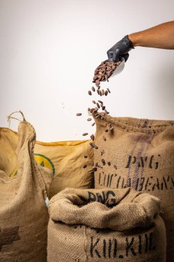 Canvas bag with Imported roasted cacao beans