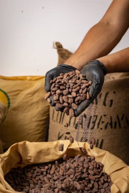 Canvas bag with Imported roasted cacao beans