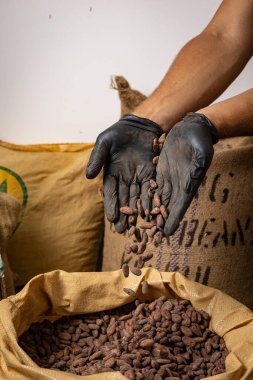 Canvas bag with Imported roasted cacao beans