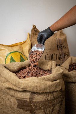 Canvas bag with Imported roasted cacao beans