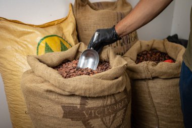 Canvas bag with Imported roasted cacao beans
