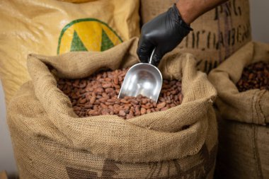 Canvas bag with Imported roasted cacao beans