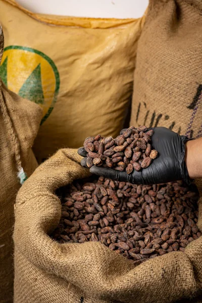 Canvas bag with Imported roasted cacao beans