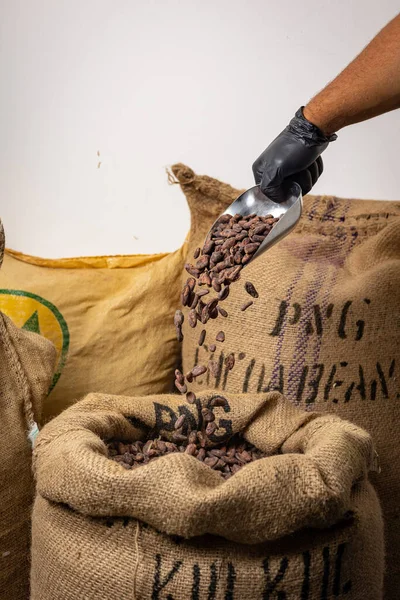 Canvas Bag Imported Roasted Cacao Beans — Stok fotoğraf