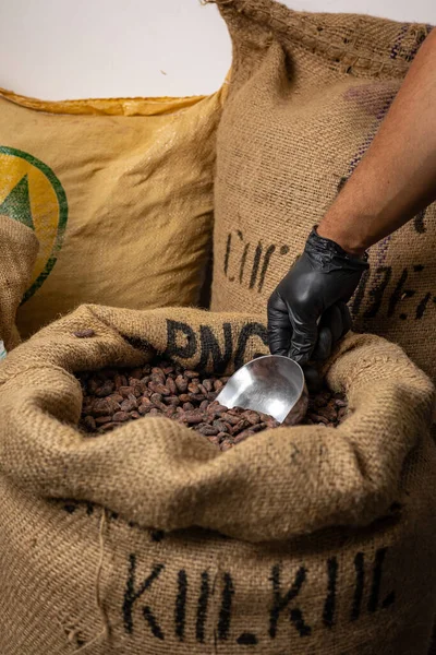 Canvas bag with Imported roasted cacao beans