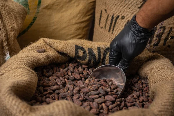 Canvas bag with Imported roasted cacao beans