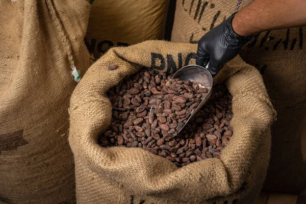 Canvas bag with Imported roasted cacao beans