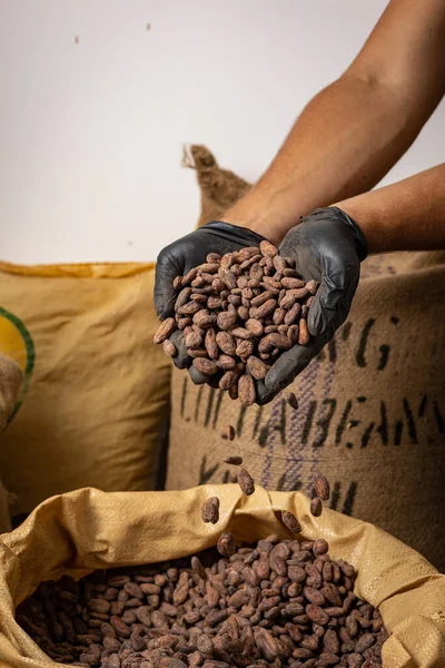 Canvas bag with Imported roasted cacao beans