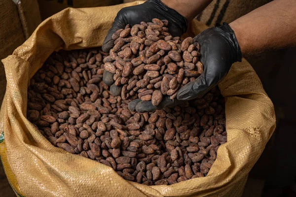 Canvas bag with Imported roasted cacao beans
