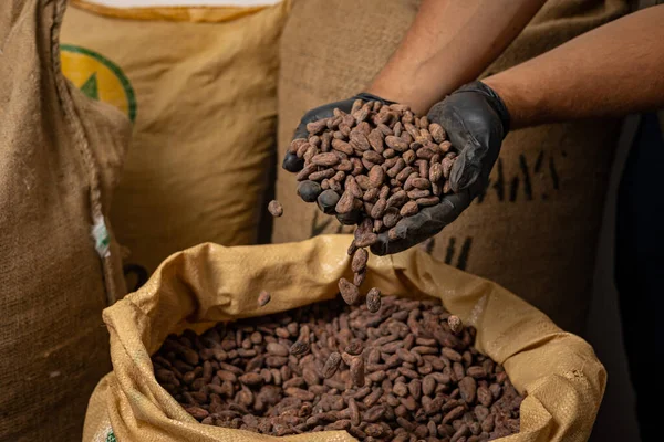 Canvas bag with Imported roasted cacao beans