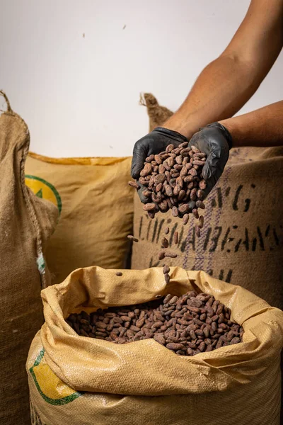 Canvas bag with Imported roasted cacao beans