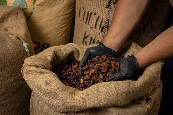 Canvas bag with Imported roasted cacao beans