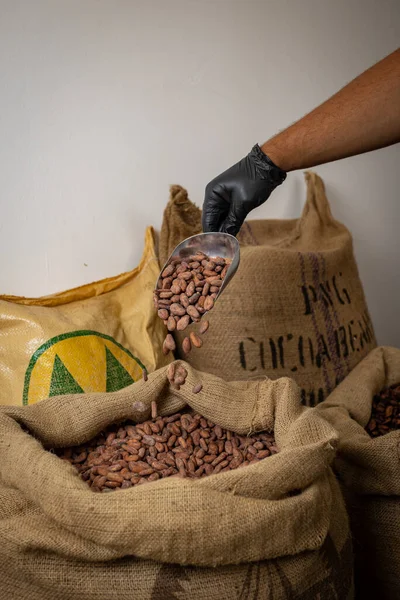 Canvas bag with Imported roasted cacao beans