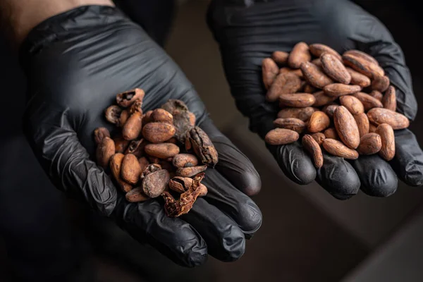 cocoa beans as background. Cocoa products
