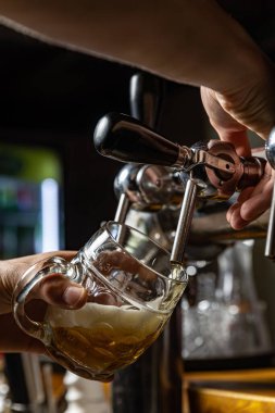 Barmen restoranın barına bira dolduruyor.