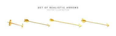 Set of realistic arrows. Vector illustration.