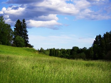 Finlandiya alanına yaz