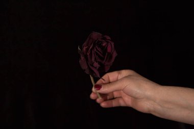 Çiçekler ve bitkiler taze, güzel kokulu güller ve zambaklardır tıpkı siyah arka plandaki gibi.