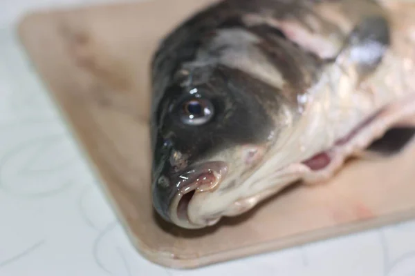 Jedzenie Napoje Ryby Owoce Morza Cytryny Pyszne Świeże Pyszne — Zdjęcie stockowe