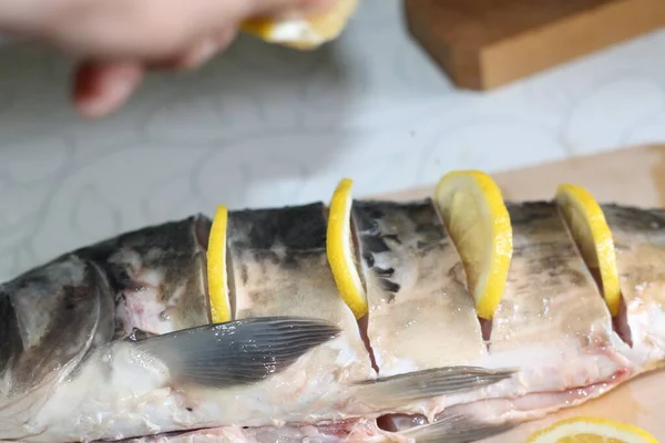 Mat Och Dryck Fisk Skaldjur Och Citroner Läckra Färska Läckra — Stockfoto