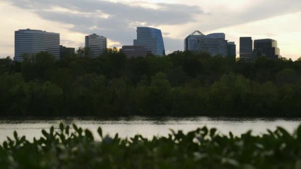 Rosslyn, Virginia Across the Potomac River Closeup on a Summer Afternoon — Stock Video