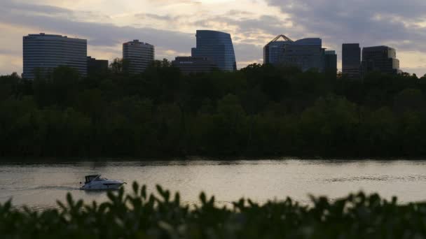 Ένα σκάφος στον ποταμό Ποτόμακ μπροστά από το Ρόσλιν της Βιρτζίνια ένα καλοκαιρινό απόγευμα. — Αρχείο Βίντεο
