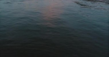 Washington DC Marina Tilting Vuruldu