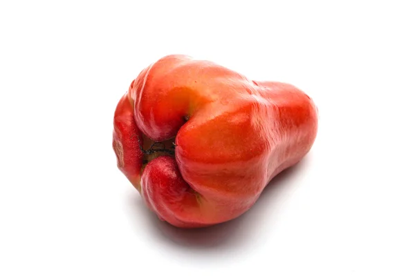 yalıtılmış bir gül elma