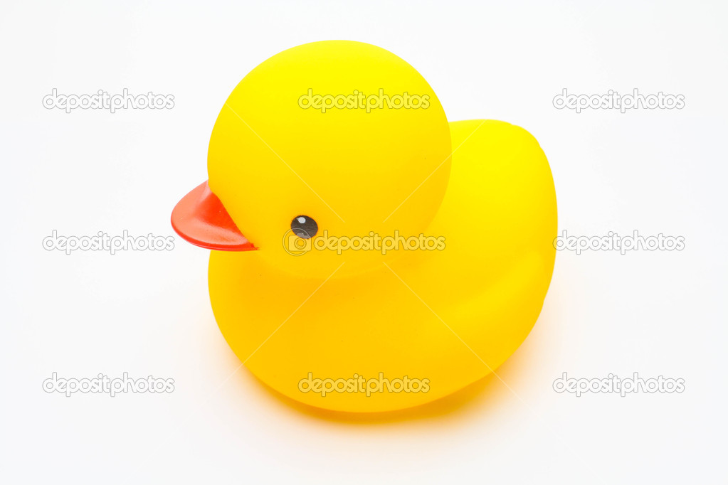 Duck toy