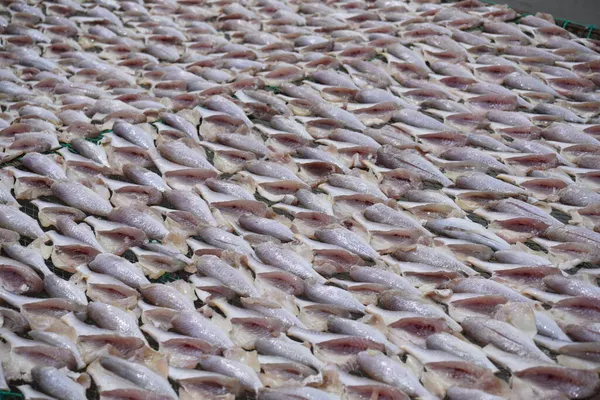 Foto Eines Traditionellen Handwerksdorfes Trocknen Von Fisch Mit Gelbem Faden — Stockfoto