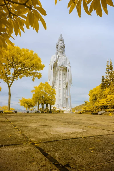 Paisaje Foto Infrarrojo Estatua Buda Linh Una Pagoda Hora Abril — Foto de Stock