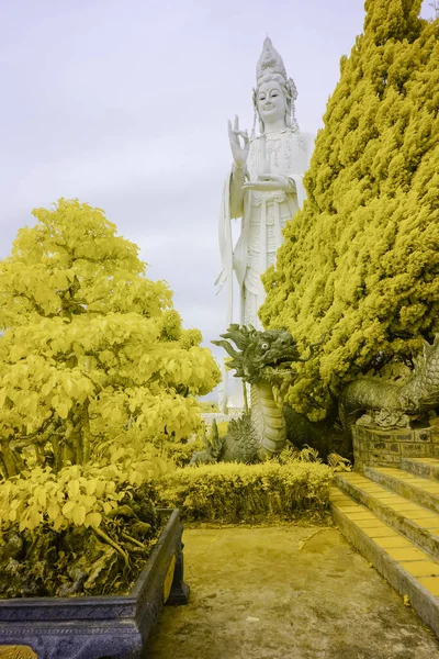 Paesaggio Foto Infrarosso Statua Buddha Linh Una Pagoda Ora Aprile — Foto Stock