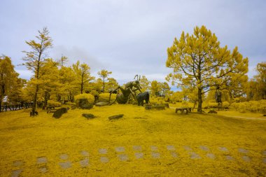 Xuan Huong Gölü kıyısındaki manzara fotoğrafı. Süre: 7 Nisan 2022. Mekan, DaLat şehri. Da Lat Vietnam 'da ünlü bir turizm şehridir.