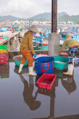 Manzara fotoğrafı: Luong Son balıkçılık limanında çalışan balıkçılar. Süre: 15 Nisan 2022. Konum: Nha Trang şehri.