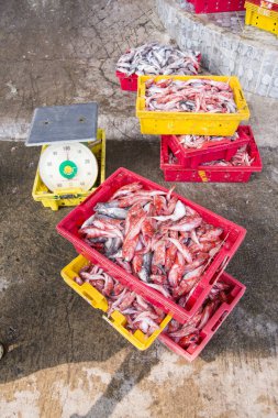 Luong Son balıkçılık limanında manzara fotoğrafı. Süre: 15 Nisan 2022. Konum: Nha Trang şehri.