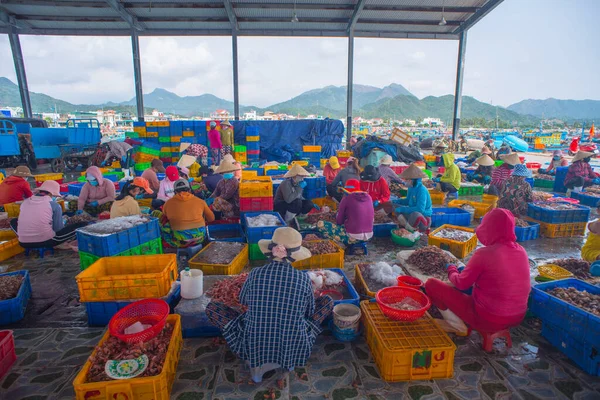 Landschaftsfoto Fischer Bei Der Arbeit Fischereihafen Luong Son Zeit April — Stockfoto