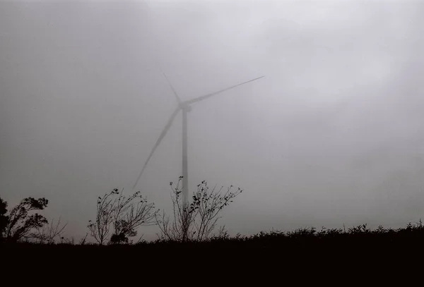 Landskap Foto Film Svart Och Vitt Hills Cau Dat Dimma — Stockfoto