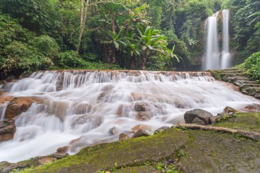 Manzara fotoğrafı, Dasara şelalesi. Bu Vietnam 'da güzel bir şelale. Dasara şelalesi 60 metre yüksekliğinde. Zaman: 28 Temmuz 2022. Konum: Lam Dong Eyaleti