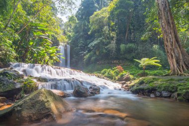 Manzara fotoğrafı, Dasara şelalesi. Bu Vietnam 'da güzel bir şelale. Dasara şelalesi 60 metre yüksekliğinde. Zaman: 28 Temmuz 2022. Konum: Lam Dong Eyaleti