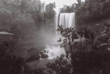 Landscape photo black and white film: Dambri waterfall.. The author uses black and white film Fomapan 100 to capture the photographic work.Time: July 28, 2022. Location: Lam Dong province. 