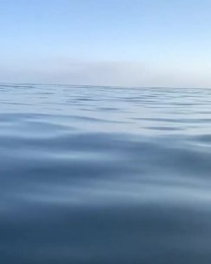 Katil balina okyanusta zıplayan vahşi hayvan