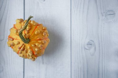 Beyaz ahşap zemin üzerinde büyüyen küçük dekoratif turuncu balkabağı manzarası ve metin için kopya alanı. Sonbahar tatili kavramı, Cadılar Bayramı, Şükran Günü, tarım. Düz yatıyordu.