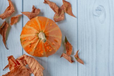 Küçük dekoratif turuncu balkabağı ve beyaz ahşap zemin üzerinde kuru sonbahar yaprakları ve metin için fotokopi alanı. Sonbahar tatili kavramı, Cadılar Bayramı, Şükran Günü, tarım. Düz yatıyordu.