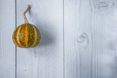 Küçük dekoratif turuncu-yeşil balkabağı beyaz ahşap zemin üzerinde metin için fotokopi alanı. Sonbahar tatili kavramı, Cadılar Bayramı, Şükran Günü, tarım. Düz yatıyordu.