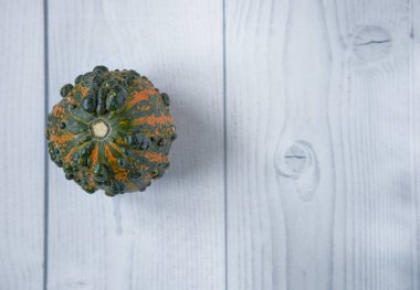 Küçük dekoratif portakal yeşili balkabağı beyaz ahşap zemin üzerinde büyüyen ve metin için fotokopi alanı olan. Sonbahar tatili kavramı, Cadılar Bayramı, Şükran Günü, tarım. Düz yatıyordu.