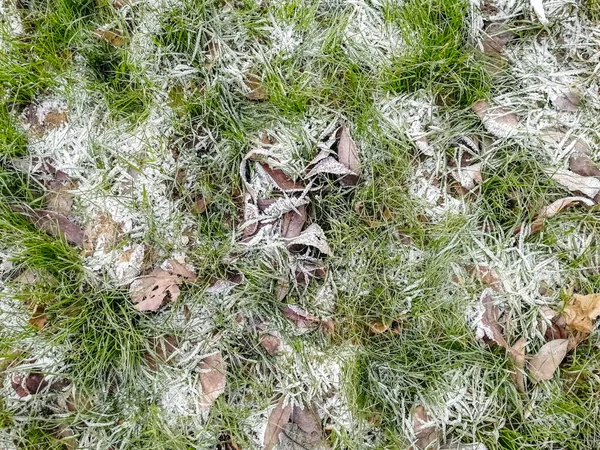 Текстура травы, покрытая морозом крупным планом — стоковое фото
