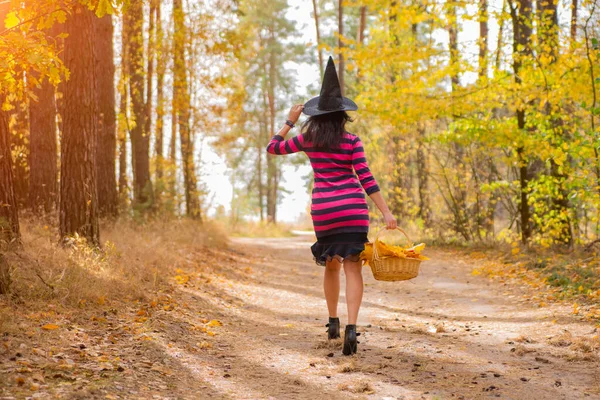 아름다운 브라 운트 마녀가 바구니를 들고 가을 숲 속을 거닐고 있다 — 스톡 사진