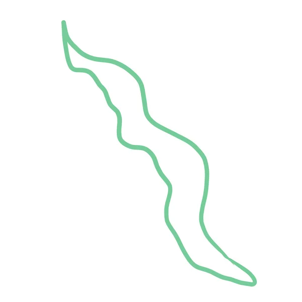 Silueta de dibujos animados de algas marinas de laminaria doodle. forma verde planta línea vector ilustración clip arte — Vector de stock