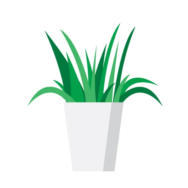 Home elements Plantas de interior dibujadas a mano en maceta blanca — Vector de stock