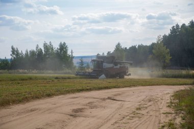 Yaşlı traktör tarlayı sürüyor. hasat işçisi ekilen tarlalardan buğday topluyor.